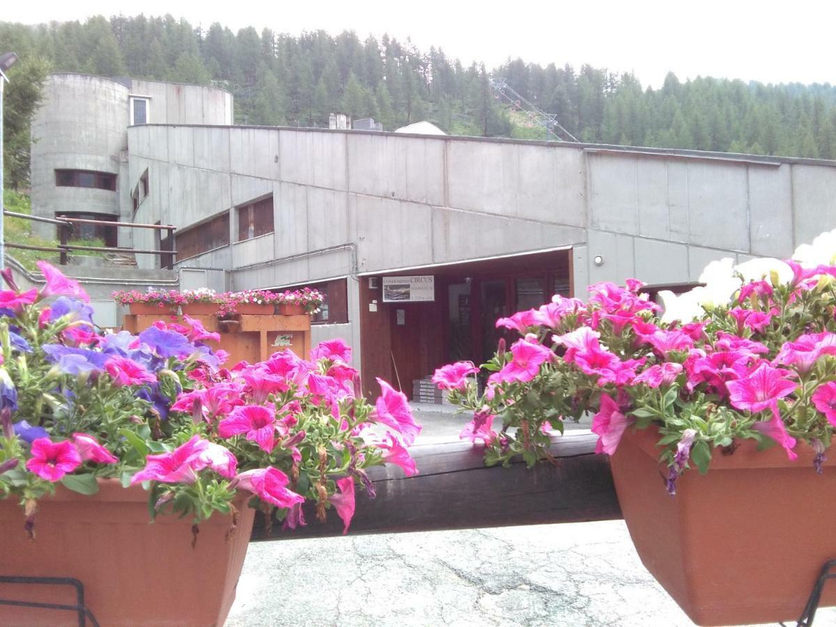 Soldanella Cervinia Apartment Vda Vacanze In Vetta Cir 0253 Брей-Червиния Экстерьер фото