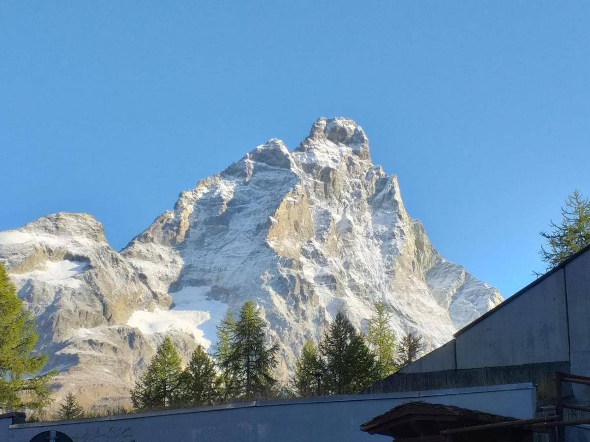 Soldanella Cervinia Apartment Vda Vacanze In Vetta Cir 0253 Брей-Червиния Экстерьер фото