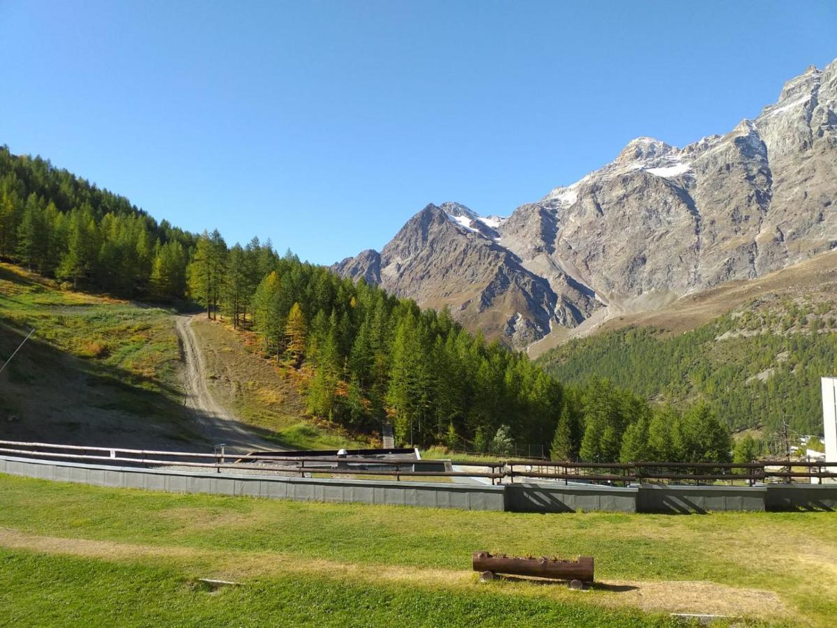 Soldanella Cervinia Apartment Vda Vacanze In Vetta Cir 0253 Брей-Червиния Экстерьер фото